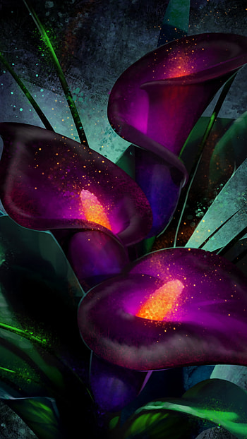 Artwork, Calla Lilies HD phone wallpaper
