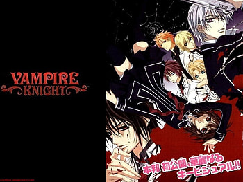 Vampire Knight, knight, vampire HD wallpaper