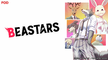 Beastars Ultra – Stunning Anime Character Showcase, Beastars HD wallpaper