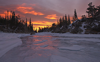 Nature, Trees, Sunset, Sky, Snow HD wallpaper