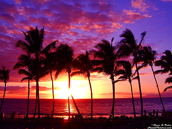 Landscape, Sunset, Sun, Palms HD wallpaper