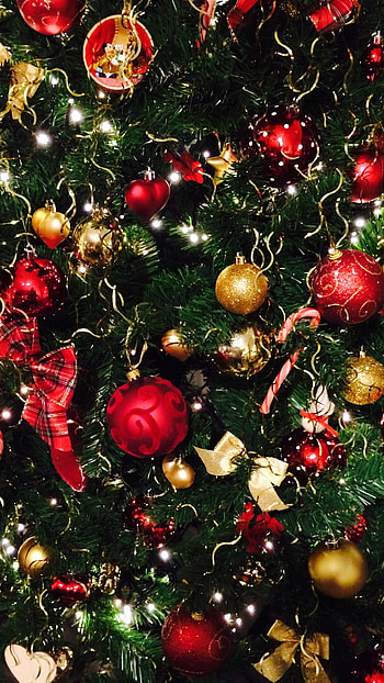 Christmas, Celebrate Christmas HD phone wallpaper