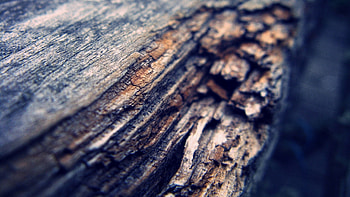 Background, Macro, Dark, Blur, Smooth, Bark HD wallpaper