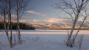 Landscape, Winter HD wallpaper