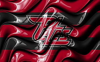 Peterborough Petes flag, , purple and black 3D waves, OHL, canadian hockey team, Peterborough Petes logo, hockey, Peterborough Petes, Canada HD wallpaper
