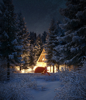 Holidays, New Year, Santa Claus, Snow, Forest, Christmas, House HD phone wallpaper