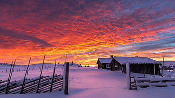 Norwegian Winter Sunset, scandinavia, snow, clouds, colors, landscape, sky, houses, norway HD wallpaper