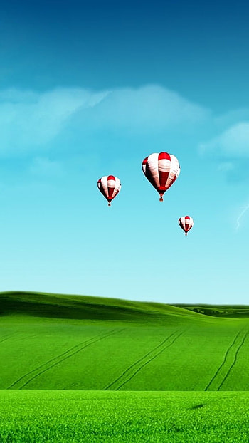 Cute, Hot Air Balloon HD phone wallpaper