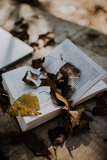 Autumn, Leaves, Miscellanea, Miscellaneous, Book HD phone wallpaper