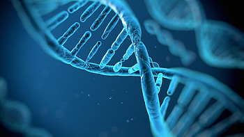 Biology wonders, High-resolution beauty, Captivating , Scientific backgrounds HD wallpaper