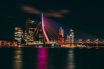 Erasmus Bridge, night, cityscape, Rotterdam, night HD wallpaper