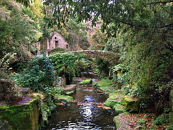 Jesmond Dene., path, bridge, building, park, tree, stream HD wallpaper