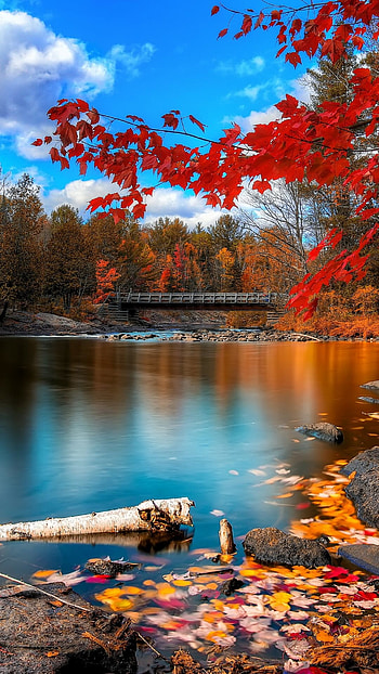 Autumn scenery - Tap to see more beautiful nature ! - @mobile9 HD phone wallpaper