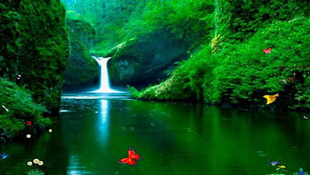 Green Waterfall, butterflies, reflection, trees, waterfall, nature, water, mountain HD wallpaper