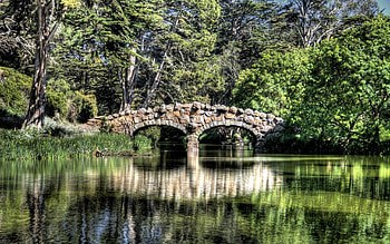 Nature, Rivers, Trees, Reflection, Bridge HD wallpaper