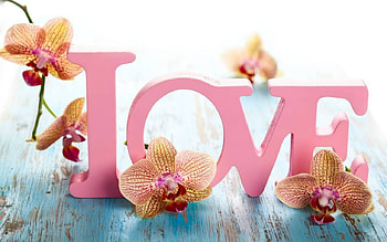 Love, word, pink, orchids HD wallpaper