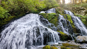 Steelhead Falls, British Columbia, river, trees, cascades, canada, rocks HD wallpaper