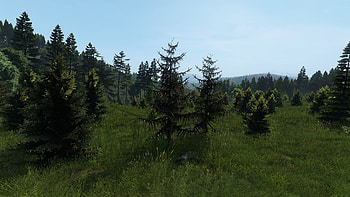 Grass, video game, DayZ HD wallpaper