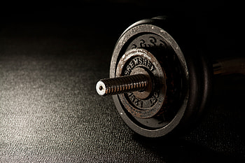 Sports, Dumbbells, Gym, Fitness HD wallpaper