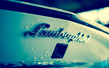 Lamborghini, Drops, Macro HD wallpaper