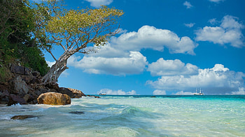 Beach daytime , Tropical vibes, Sun-kissed shores, tranquility HD wallpaper