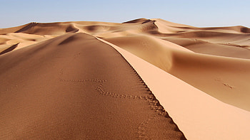 Desert dunes, Angola and Namibia, Natural wonders, Remote landscapes HD wallpaper