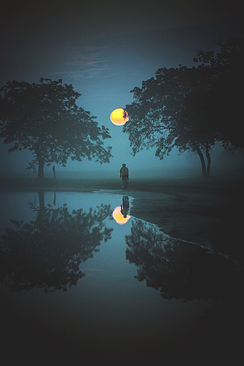 Nature, Water, Trees, Moon, Reflection, Fog, Cyclist HD phone wallpaper