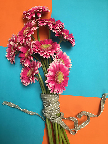 Flowers, Petals, Bouquet, Gerbera HD phone wallpaper
