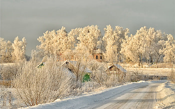 Winter, Nature, Trees, Snow, Road HD wallpaper