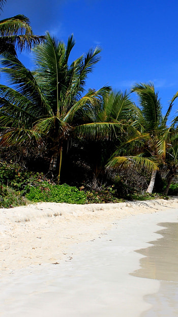 Flamenco beach , Travelers choice, Best beaches HD phone wallpaper