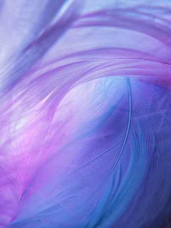 A soft, colorful abstract composition with dreamy pastel hues featuring blue and purple feather textures. HD phone wallpaper