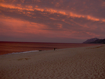 Sunset at the beach, sea, summer, sunset, beach HD wallpaper