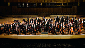 Orchestra , Captivating musicians, Harmonious composition, Euphonic performance HD wallpaper
