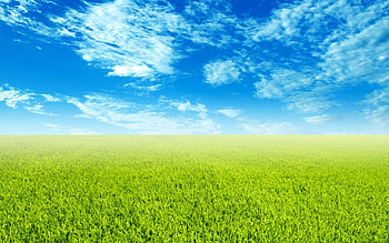 Grass and sky background, Natural scenery, Serene landscapes, Ryan Anderson HD wallpaper
