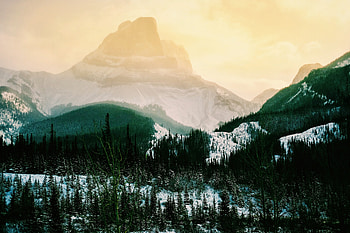 Nature, Trees, Mountains, Highland HD wallpaper