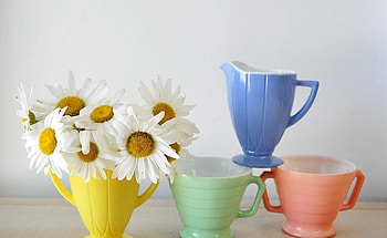 Flowers, Cups, Camomile, Multicolored, Bouquet HD wallpaper