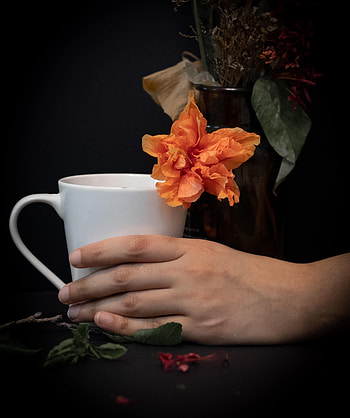 Flowers, Dark, Hand, Miscellanea, Miscellaneous, Cup HD phone wallpaper