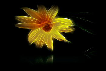 Yellow reflection, reflection, yellow HD wallpaper