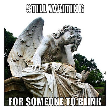 Doctor Who meme + weeping angel + blink. HD phone wallpaper