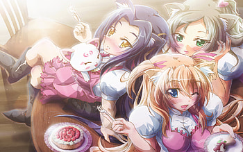 Kitty Cospley Beauty, tv show, anime, wall, girl, beauty HD wallpaper