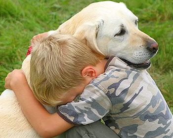 A True Friend., dog, grass, boy, green HD wallpaper