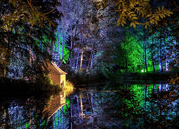 Park at night 4, Park, Nature, Night, Light HD wallpaper