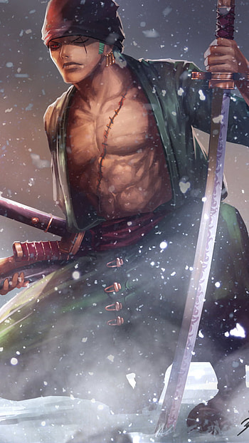 Zoro Roronoa, Roronoa Zoro, Anime, One Piece HD phone wallpaper