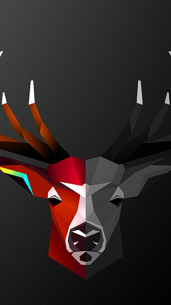 Reindeer, Animals, Wildlife, Reindeer HD phone wallpaper