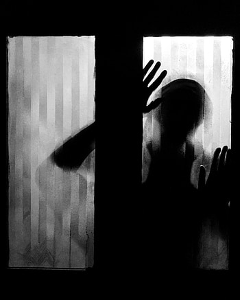 Palms, Silhouette, Palm, Glass, Bw, Chb HD phone wallpaper