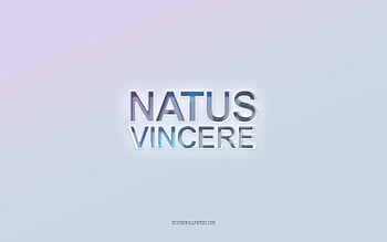 Natus Vincere, cut out 3d text, white background, Natus Vincere 3d, Natus Vincere quote, embossed text HD wallpaper
