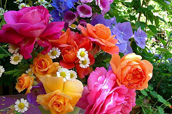 A Floral Rainbow, colors, nature, flowers, rainbow HD wallpaper