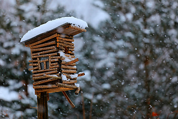 Winter, Snow, Miscellanea, Miscellaneous, Snowfall, Birdhouse HD wallpaper