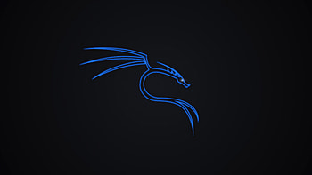 Kali Linux Dragon , kali-linux, linux, computer, dark, black HD wallpaper