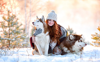 My Babies, Women, Winter, Redhead, Hats, Dogs, Snow, Trees HD wallpaper